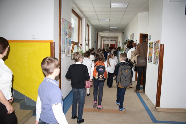 Megyei helyesírási verseny